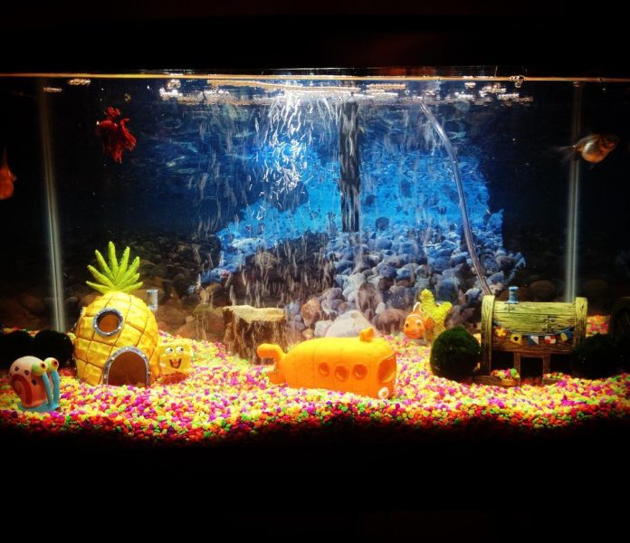 Spongebob Squarepants Aquarium