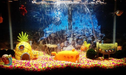 Spongebob Squarepants Aquarium